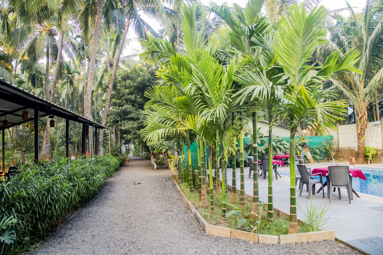 Village Aroma — Scenic Pathway to Pool & Coconut Canopy